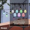 Bulbrite 36 ft. Plug-in Edison Bulb S14 Shatter Resistant LED Smart Black String Light 18 Sockets-Bulbs 814361